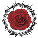 La Rose Noire